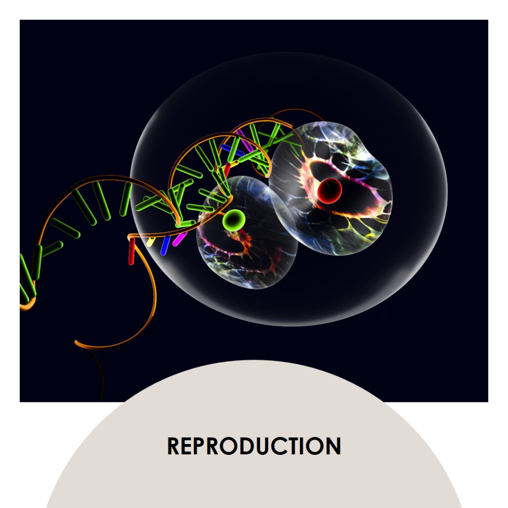 Class 10th How Do Organisms Reproduce