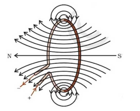 Magnetic Field Due to Current through a Circular Loop