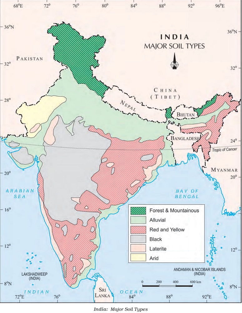 different-types-of-soils-found-in-india