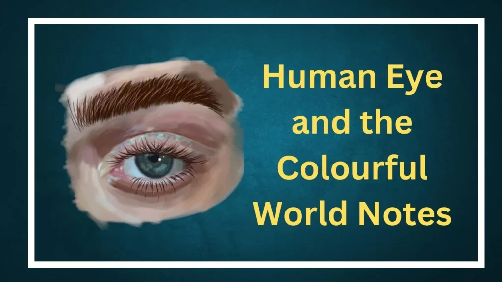 Human Eye and the Colourful World Notes