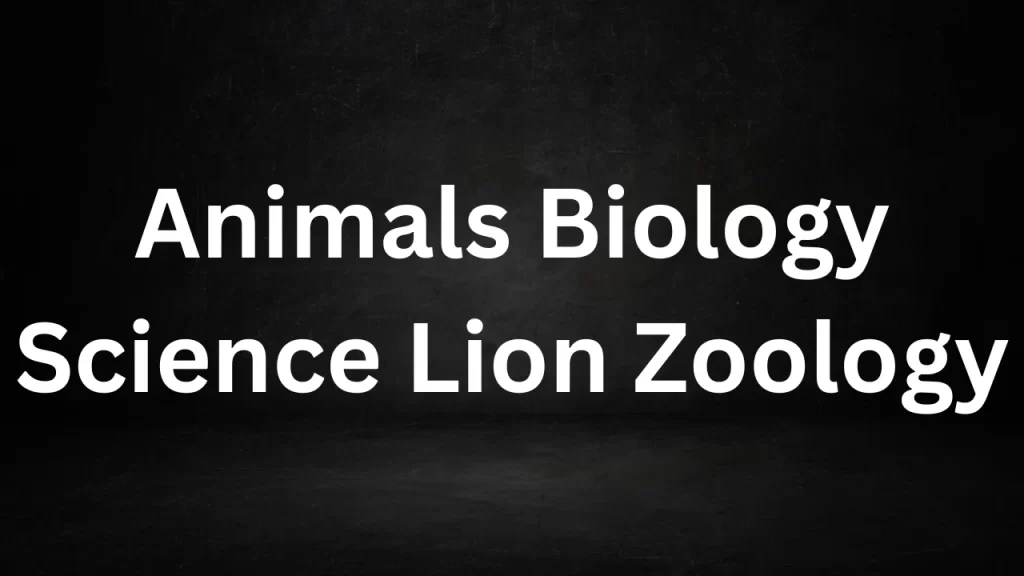 Animals Biology Science Lion Zoology