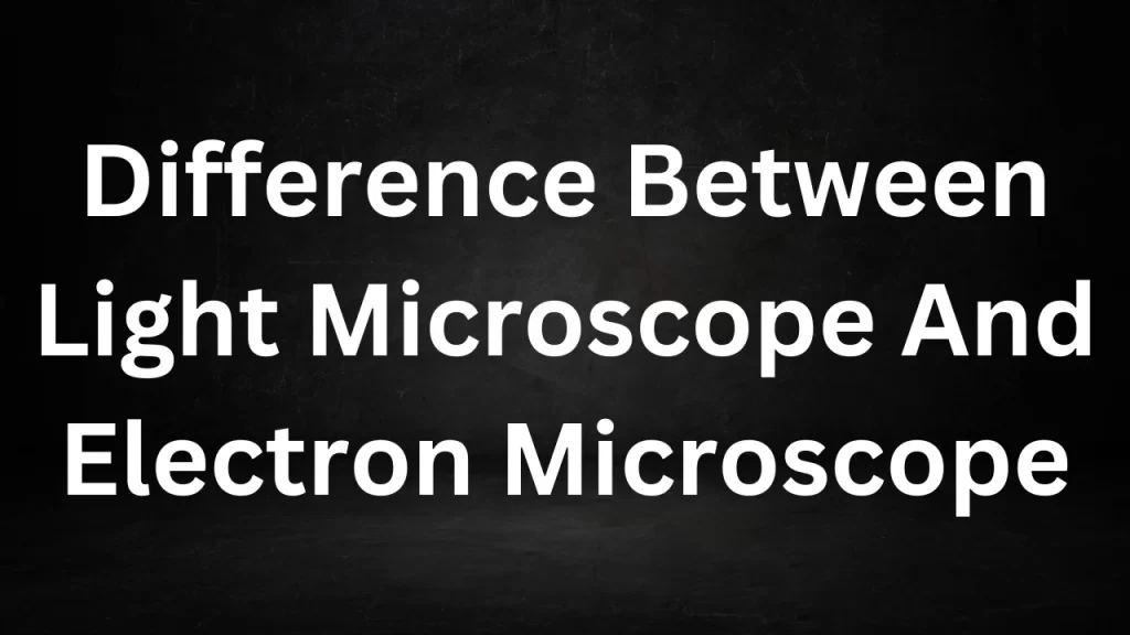 Difference Between Light Microscope And Electron Microscope