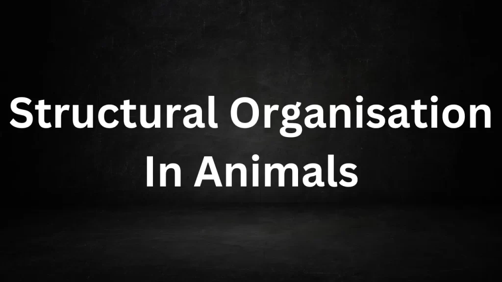 Structural Organisation In Animals