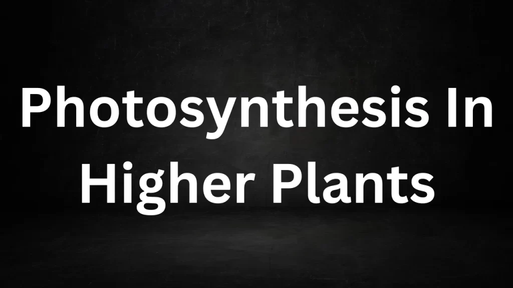 Photosynthesis In Higher Plants