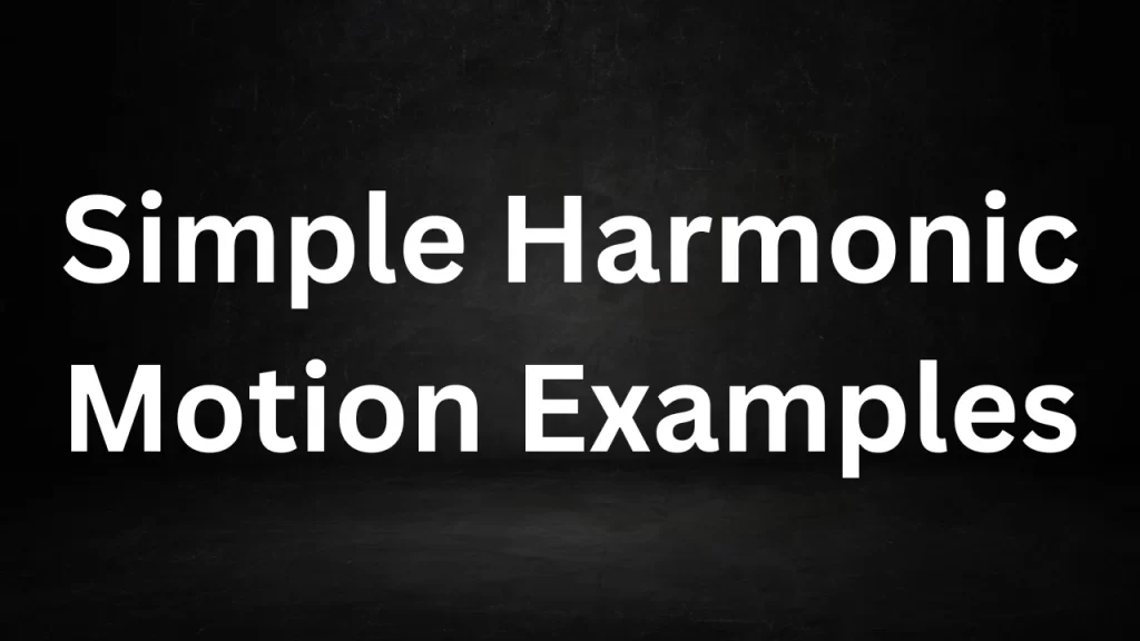 Simple Harmonic Motion Examples